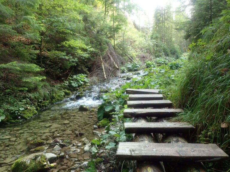 Follow this trail to learn about Julie who offers counselling and psychotherapy services.